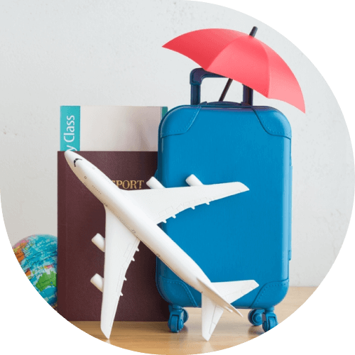 Suitcase and plane